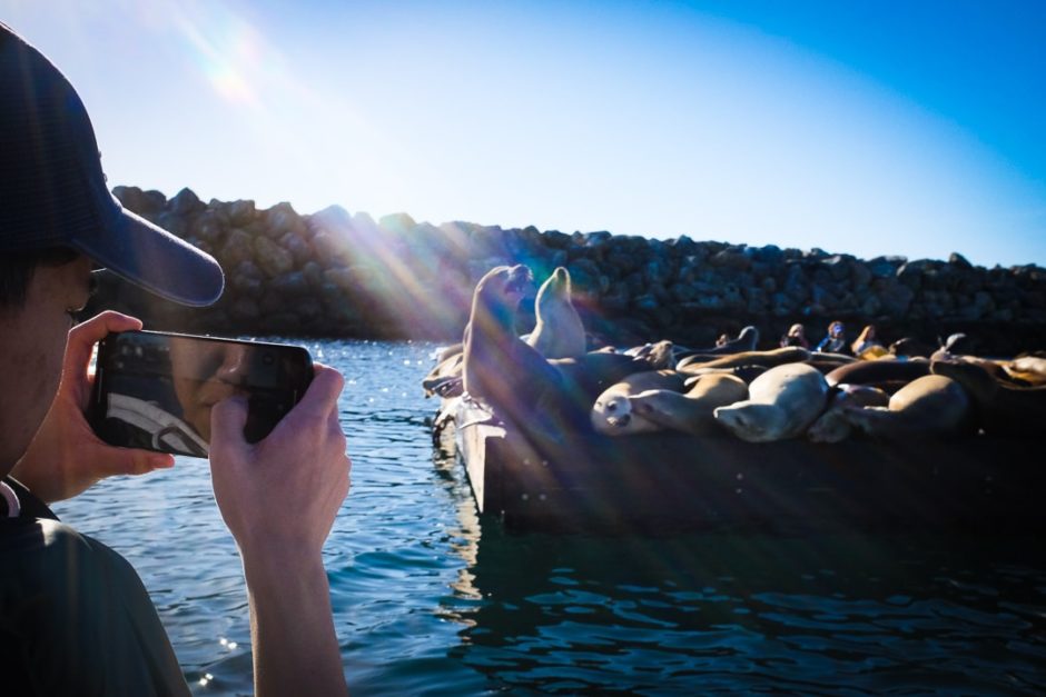 "Pedal Boat Adventure" Redondo Beach 2016