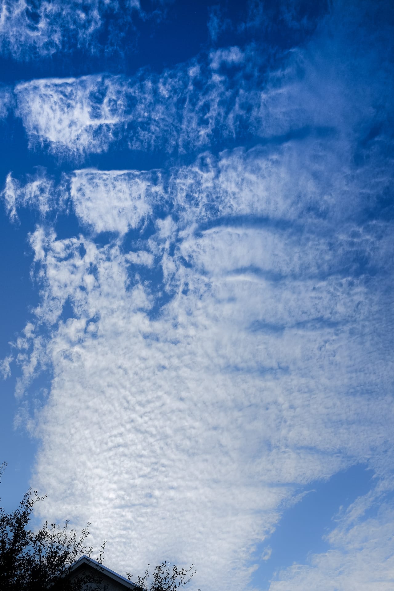 Cloud Shapes | 10nineteen