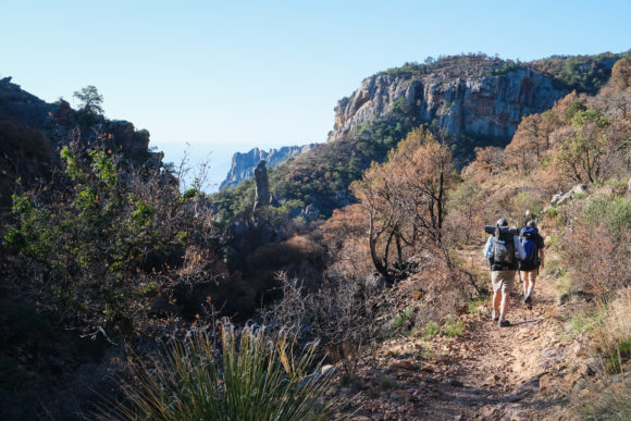 Hiking the Chisos Mountains | 10nineteen